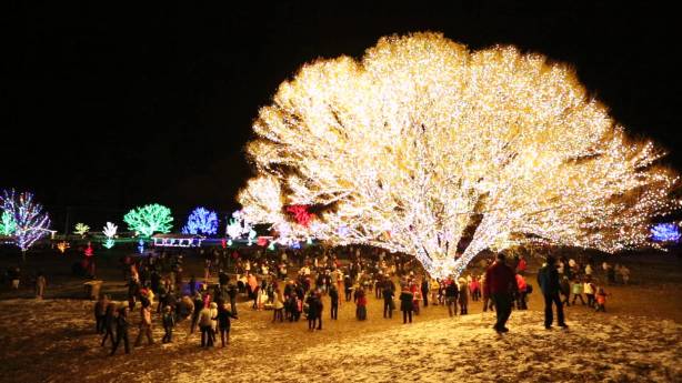 credit: Britenites, YouTube Channel