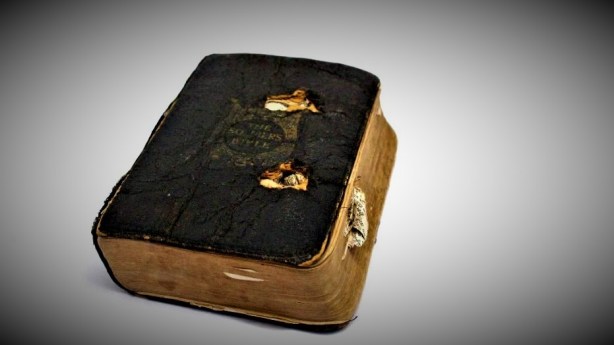 Fox News Network, LLC