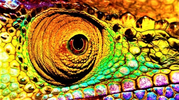 credit: Valspar Paint