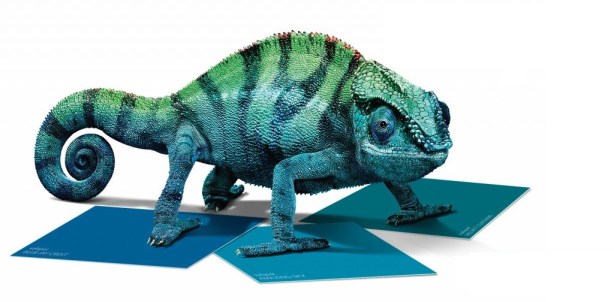 Credit: Valspar Paint