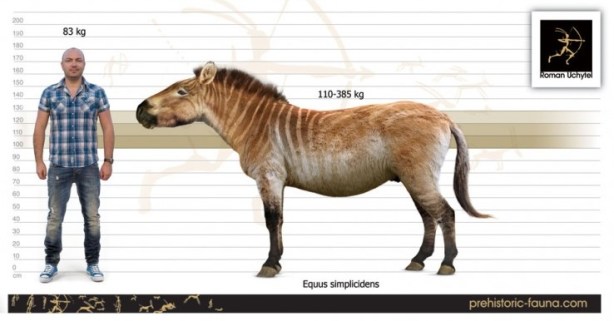 credit: prehistoric-fauna.com