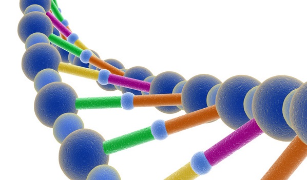 credit: National Geographic DNA_cropped