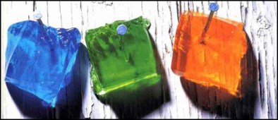 Halli Freireich Photography halliphoto.com jellytoawall