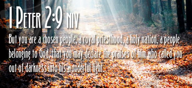 credit: www.free-wallpapers-christian.com 1-peter-29_4837_1024x768_EDITED